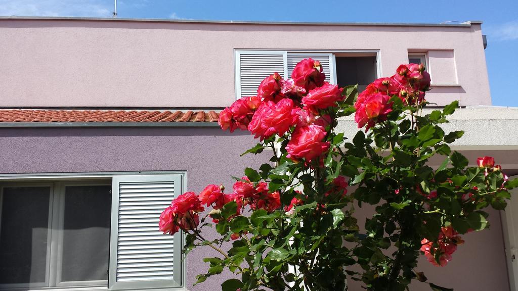 Apartment Ika Zadar Pokoj fotografie